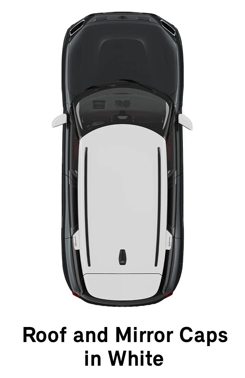 MINI Roof: Roof and Mirror Caps in Body Colour